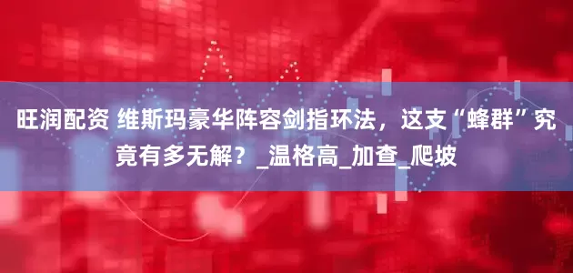 旺润配资 维斯玛豪华阵容剑指环法，这支“蜂群”究竟有多无解？_温格高_加查_爬坡