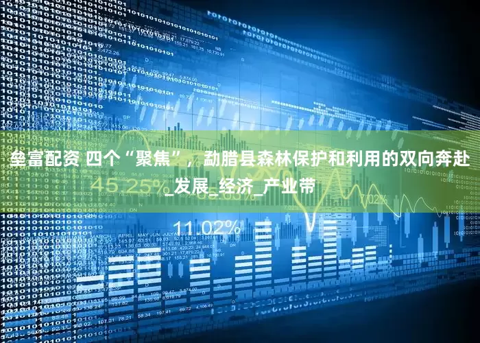 垒富配资 四个“聚焦”，勐腊县森林保护和利用的双向奔赴_发展_经济_产业带