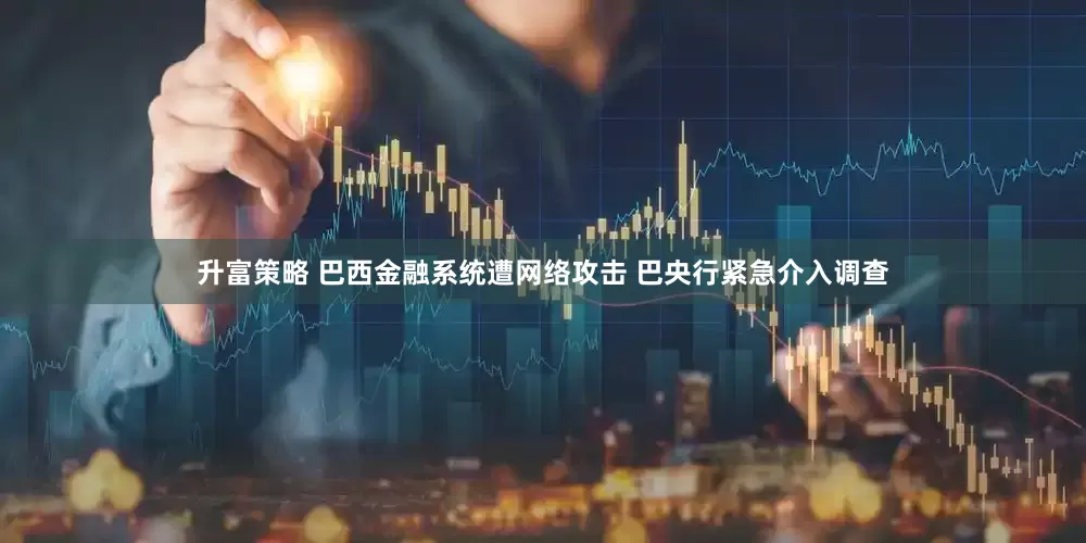 升富策略 巴西金融系统遭网络攻击 巴央行紧急介入调查