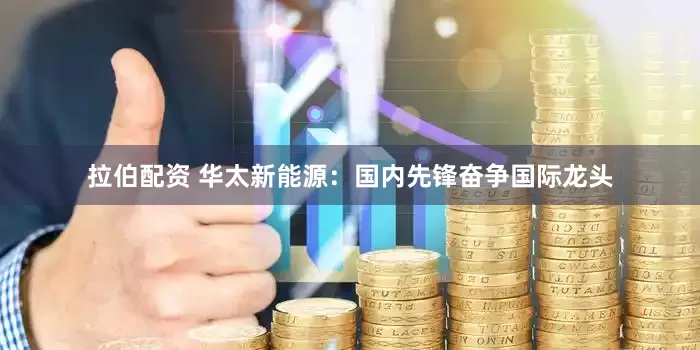拉伯配资 华太新能源：国内先锋奋争国际龙头