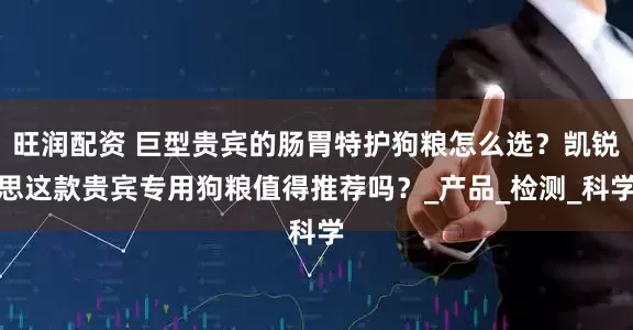 旺润配资 巨型贵宾的肠胃特护狗粮怎么选？凯锐思这款贵宾专用狗粮值得推荐吗？_产品_检测_科学