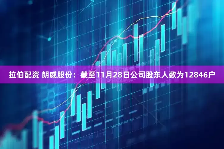 拉伯配资 朗威股份：截至11月28日公司股东人数为12846户